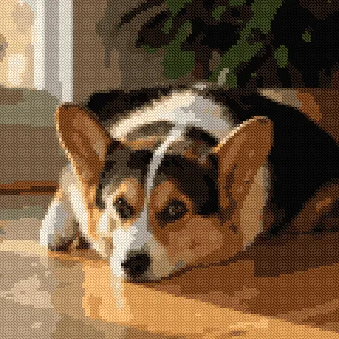 Corgi odpoczywający w słońcu, Podgląd haftu